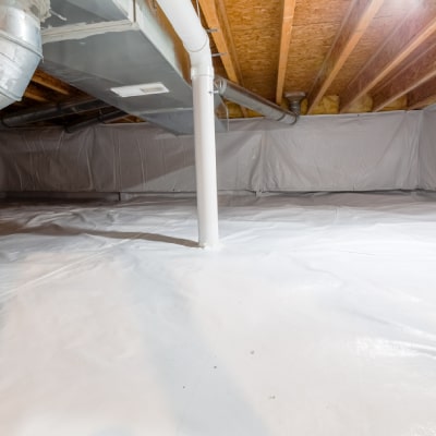 Crawl Space